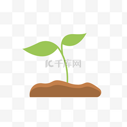 土壤中的图片_土壤中的绿色幼苗