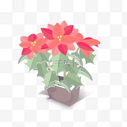 红色植物摆件图片_春节应景花卉一品红清新简洁图标
