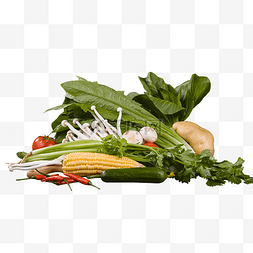 蔬菜青菜玉米实物