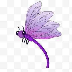 夏季促销图片_紫色蜻蜓png素材
