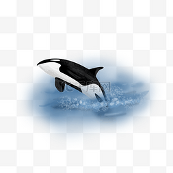 手绘海洋浪花图片_世界海洋日可爱鲸鱼