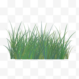 茂盛的草丛图片_绿色的茂盛的草丛