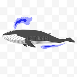 灰色喷水鲸鱼
