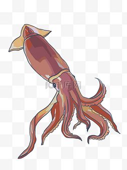 鱼类海鲜图片_手绘海鲜章鱼插画