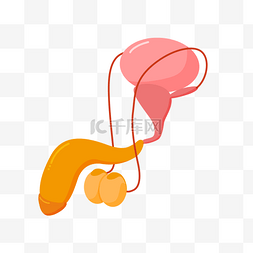 腰椎人体图图片_手绘人体器官前列腺插画