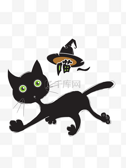 猫咪图片_万圣节黑猫巫女帽