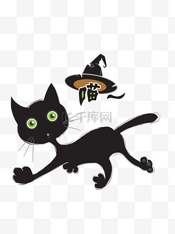 喵咪图片_万圣节黑猫巫女帽