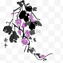 紫色牵牛图片_中国风古风边框圆形牵牛花卉边框