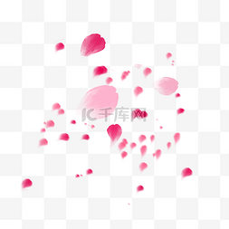 浪漫漂浮花瓣图片_暖粉色漂浮玫瑰装饰