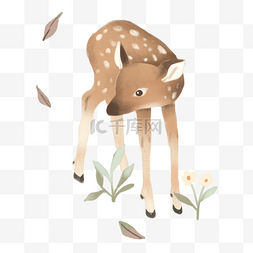小鹿手绘图片_手绘一只站着的美丽森林小鹿