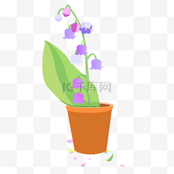 紫色花盆栽png图片_ 紫色花朵盆景 