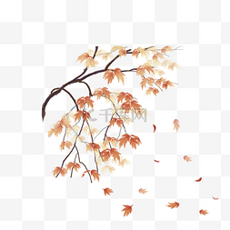 叶子和喜鹊图片_卡通手绘中国风枫叶