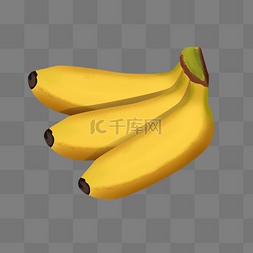 三根黄色手绘写实香蕉psd免抠图