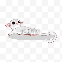 老鼠手绘图片_手绘卡通白色仓鼠
