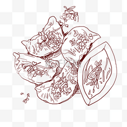 线描美食饺子插画