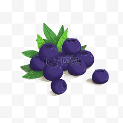 新鲜的多汁蓝莓
