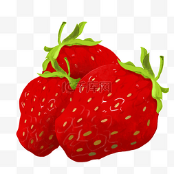红色果子植物图片_诱人的红色草莓插画