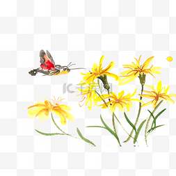 黄色亮丽图片_黄色花卉与飞蛾水彩画PNG免抠素材