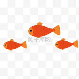 观赏鱼类图片_卡通鱼群插画元素