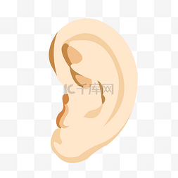 人体图图片_手绘器官人体五官耳朵结构