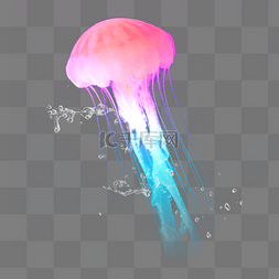 大海浮游生物彩色水母元素