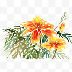 鲜艳的花卉图片_黄色的花卉水彩画PNG免抠素材