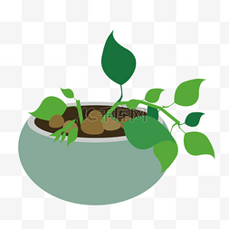 简单的天然植物图片_手绘卡通清新系列植物绿萝