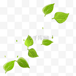 风中绿叶图片_风中漂浮的树叶插画