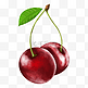 红色新鲜樱桃小樱桃水果果蔬写实手绘插画免扣素材