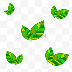 嫩绿色叶子图片_绿色植物叶子