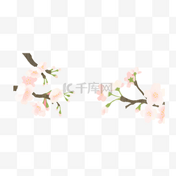 日式风格海报图片_樱花树枝日式风格矢量花朵手绘