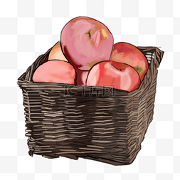 一筐水果手绘图片_秋收的果实一筐苹果插画