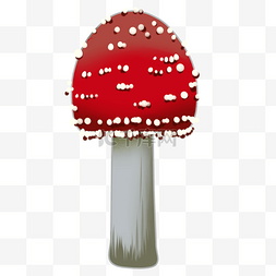 红色毒蘑菇图片_蘑菇毒蘑菇