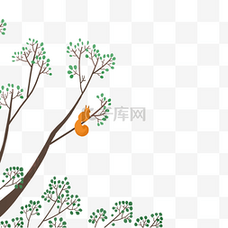 可爱松树枝和松鼠卡通手绘png素材