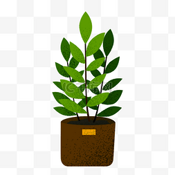 绿植植物插画图片_手绘绿色叶子植物绿植