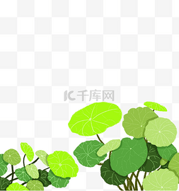 手绘植物绿色荷叶