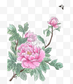 复古精美装饰图案图片_手绘复古花朵牡丹花