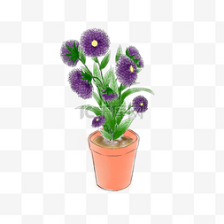 紫色花盆栽png图片_紫色花盆盆栽免抠元素