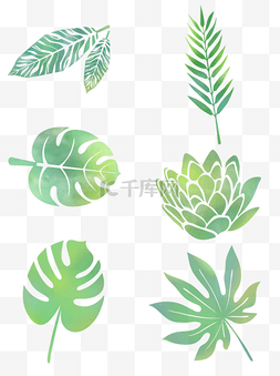 绿叶成套图片_手绘纹理美观绿色植物绿叶套图可