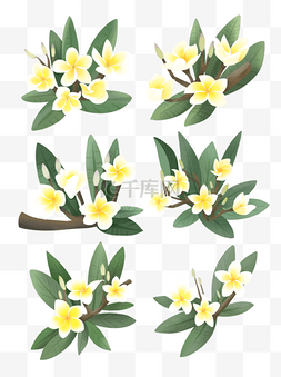 白色手绘树叶图片_手绘鲜花装饰素材鸡蛋花蛋黄花