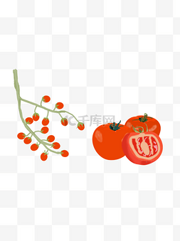 圣女果图片_手绘西红柿psd蔬菜元素
