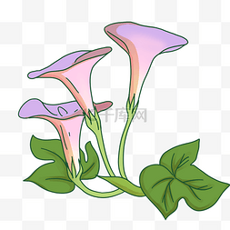 手绘紫色喇叭花