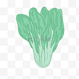 清新手绘蔬菜食物青菜图案