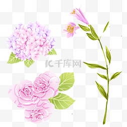 粉色花卉免抠素材