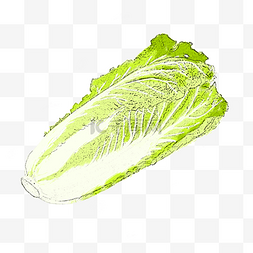 绿色的白菜图片_清新的白菜免抠图