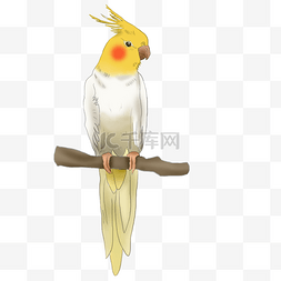ppt鸟图片_写实风站在树枝上的黄色小鸟卡通