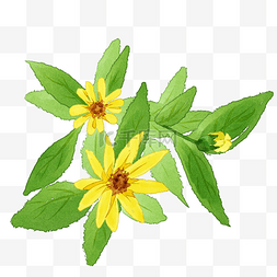 黄色小花盆图片_盆栽装饰图案黄色太阳花