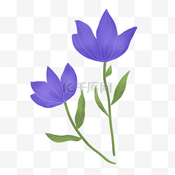 卡通鲜艳花朵图片_紫色美丽鲜艳花朵