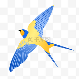 展开翅膀的鸟图片_蓝色飞翔的燕子