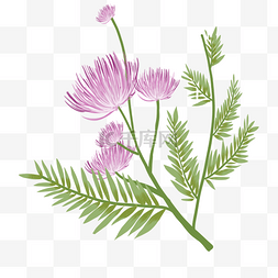 手绘花朵的图案图片_紫色合欢花手绘插画